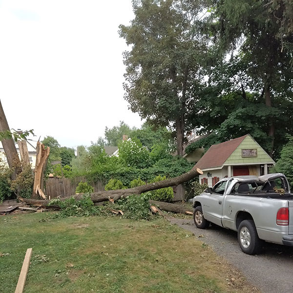 Emergency-Tree-Storm-Damage