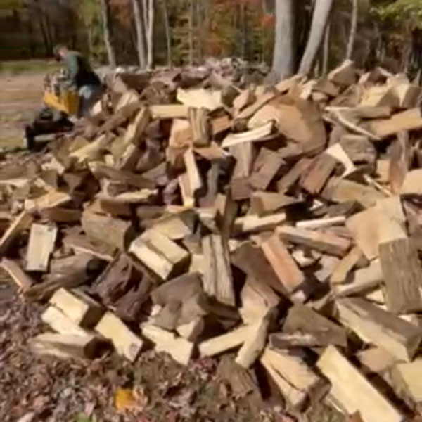 Firewood
