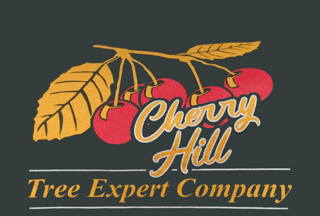 Cherry Hill Tree Expert
