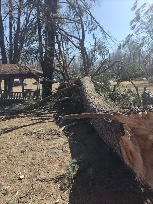 Pilgrims-Corner-Emergency-2