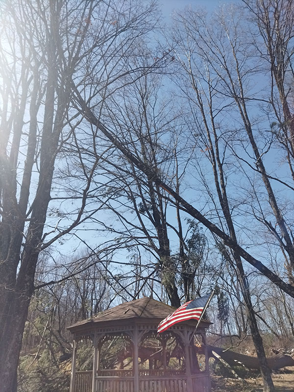 Pilgrims-Corner-Emergency-4