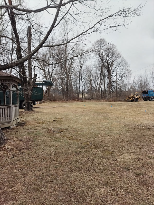 Pilgrims-Corner-Emergency-9